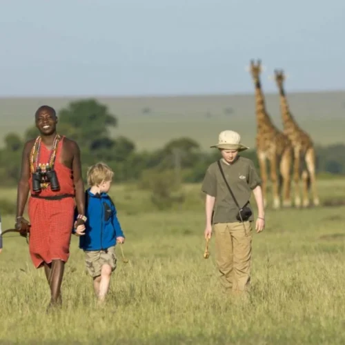 Family-Safaris