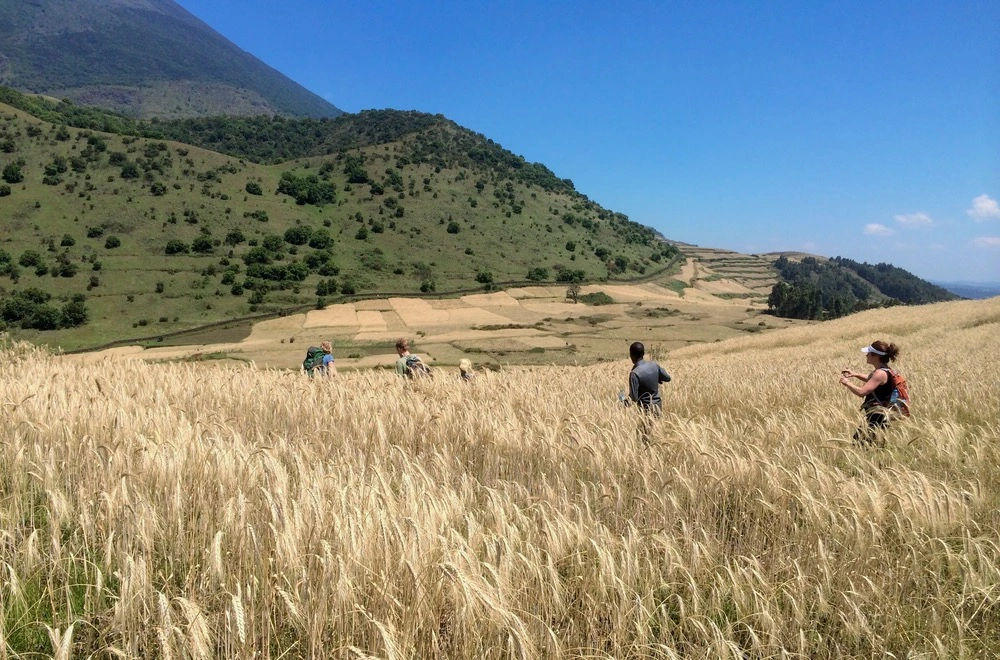 Hiking In Uganda