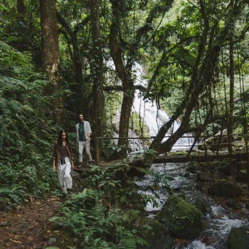 Hiking and Nature Walks in Uganda