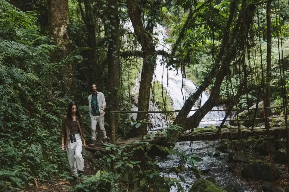 Hiking and Nature Walks in Uganda