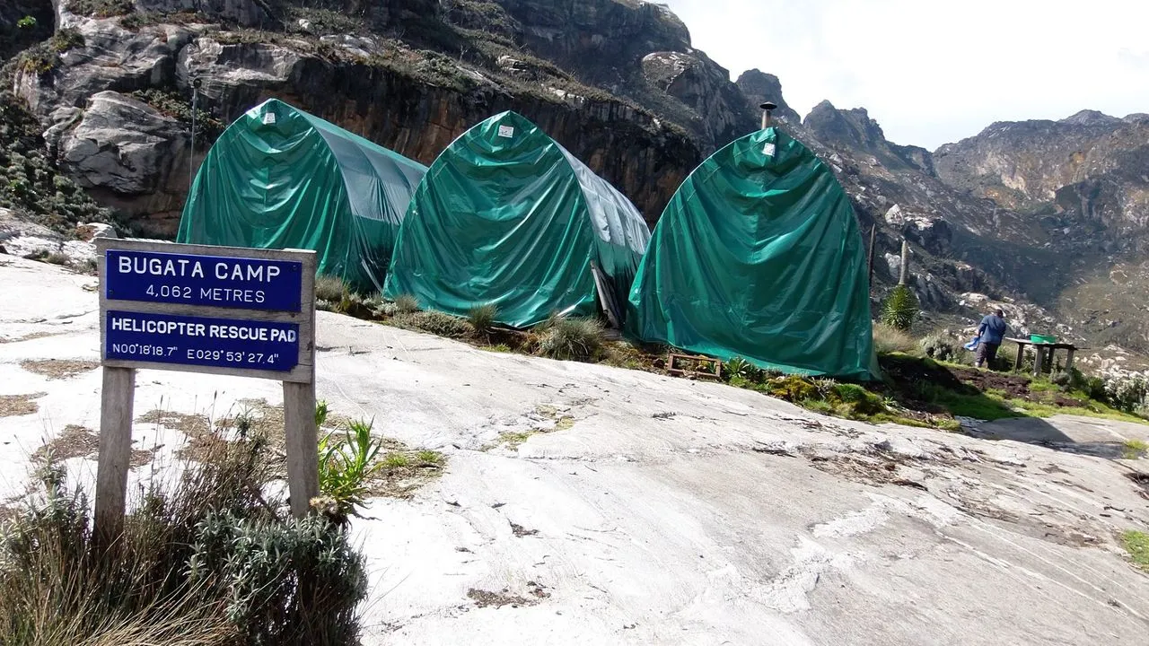 Rwenzori-trekking-6.webp
