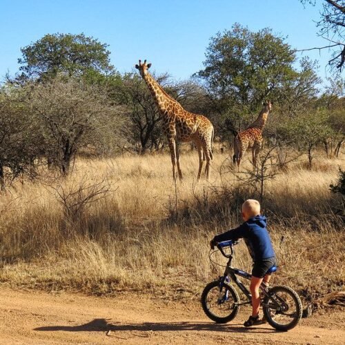 Travelling Through Uganda With Children