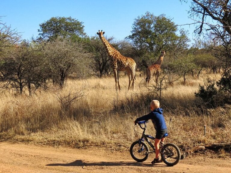 Travelling Through Uganda With Children