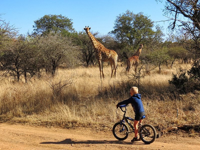 Travelling Through Uganda With Children