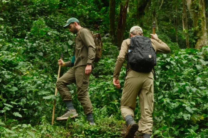 11-Day Rwanda And Uganda Primate Safari