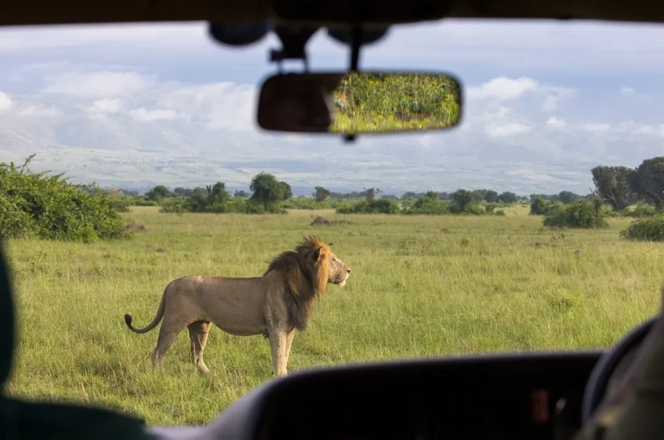 Fly-in Safari