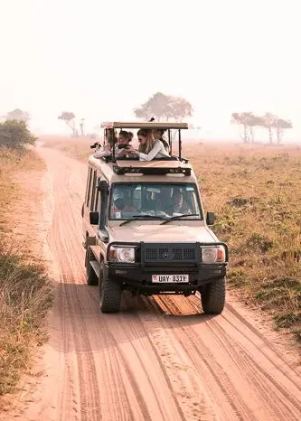 10 Day Uganda Highlight Tour