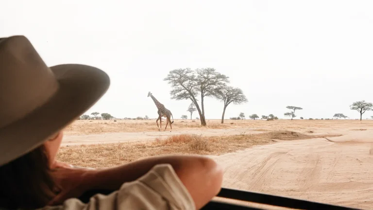 Tanzania Safari Packages