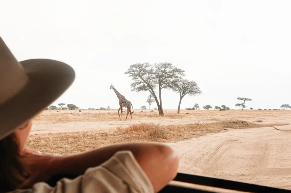 Tanzania Safari Packages