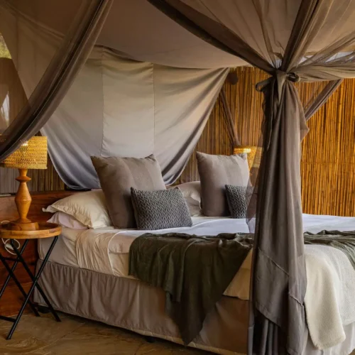 Malaria in East Africa