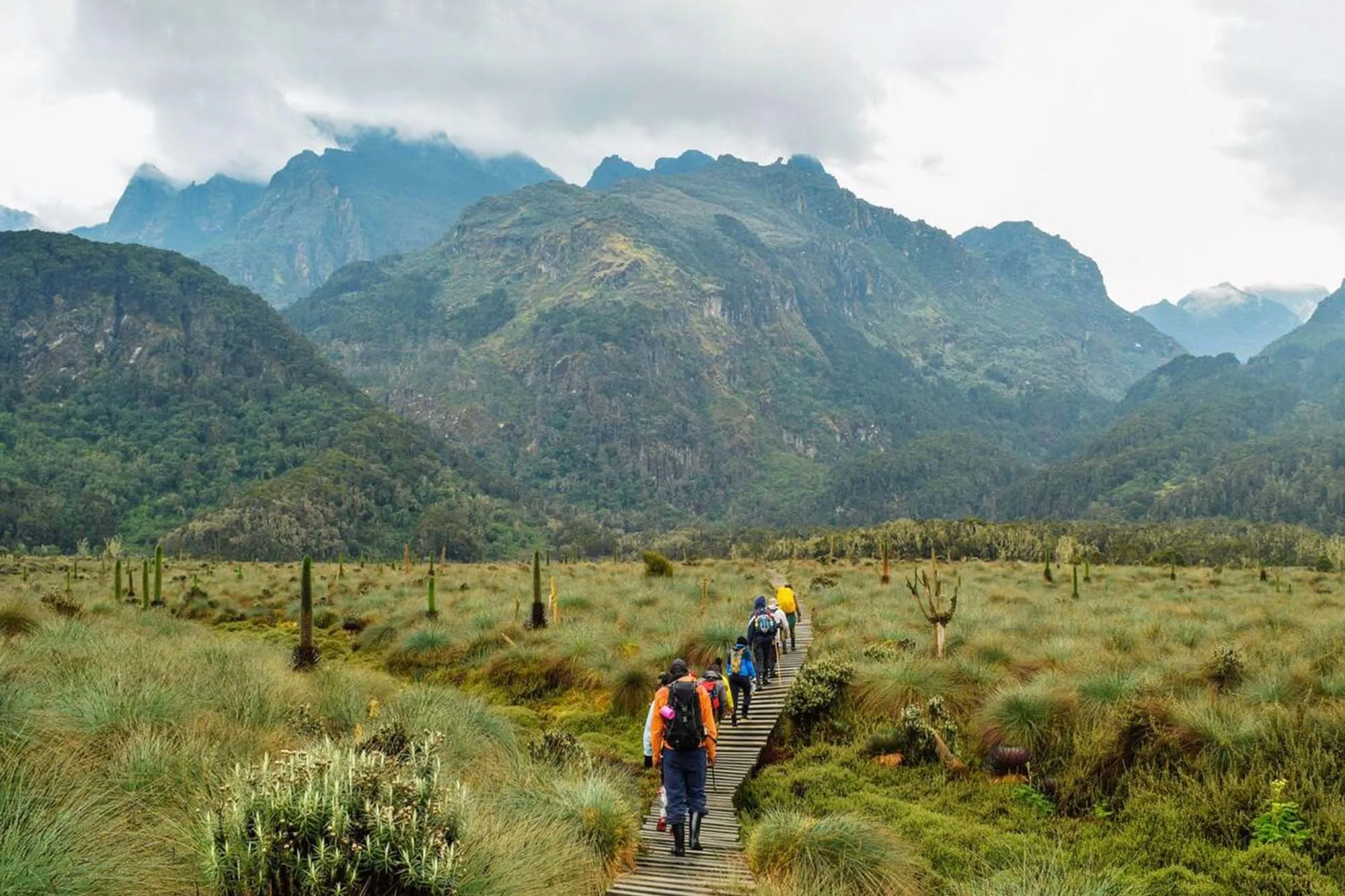 hiking-rwenzori-mountains-lower.webp