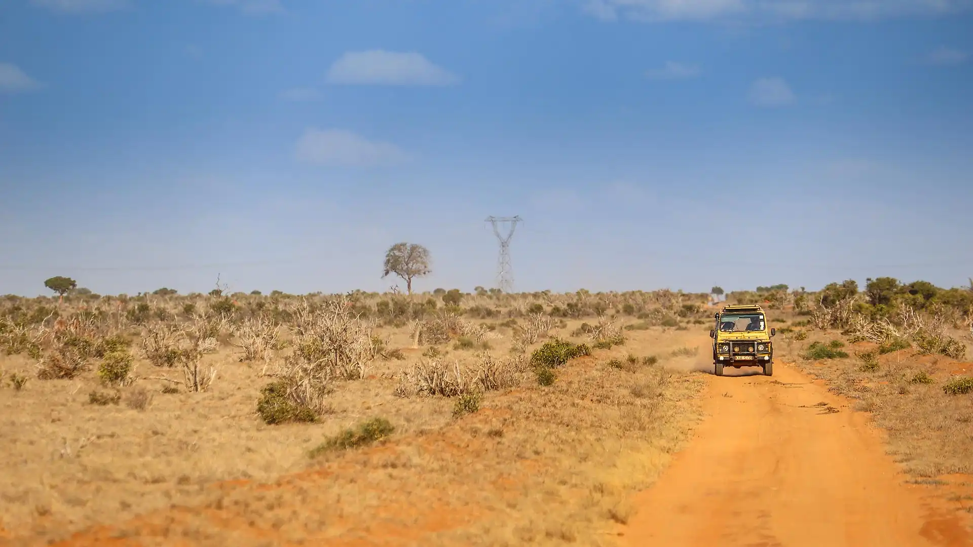 Tsavo