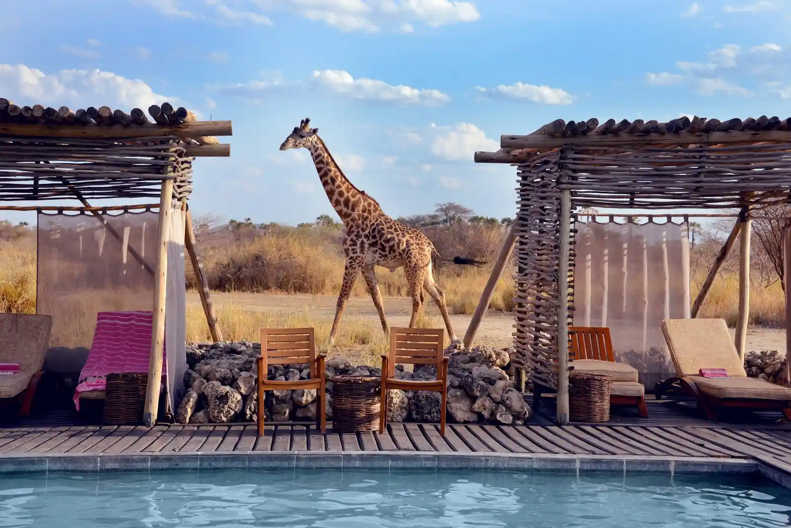 12. CHEM CHEM LODGE - swimming pool.webp