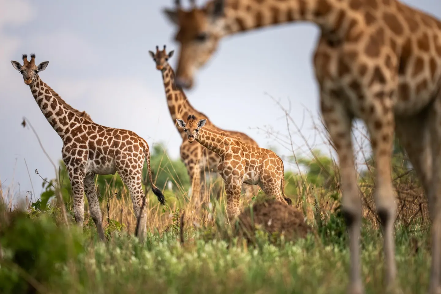 Photography trip to Uganda