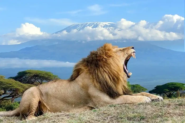 10 Day Big Five Safari – the highlights of Kenya
