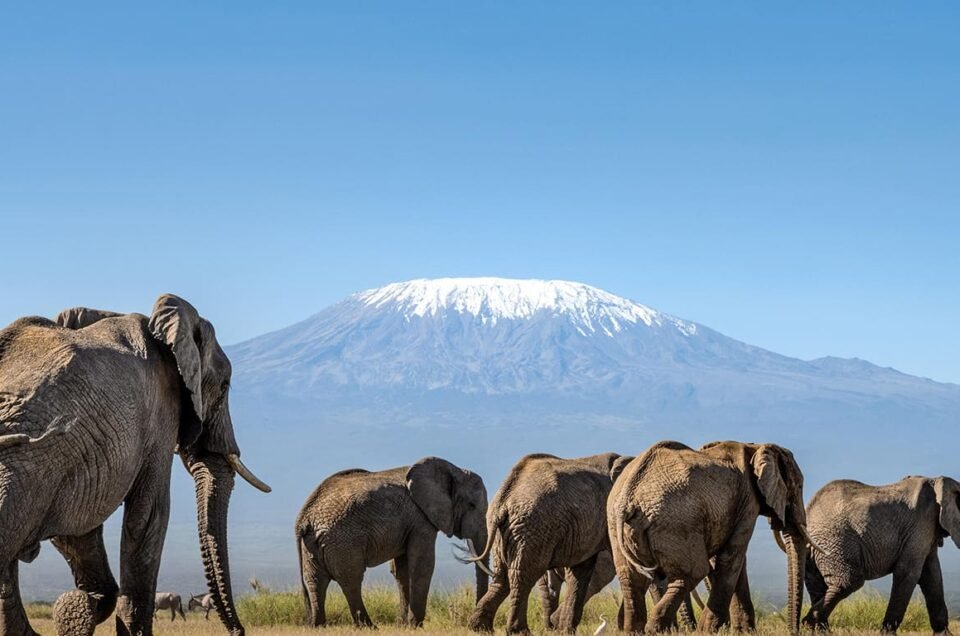 Amboseli National Park