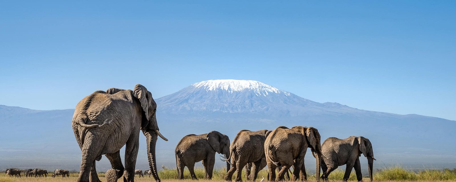 Amboseli National Park