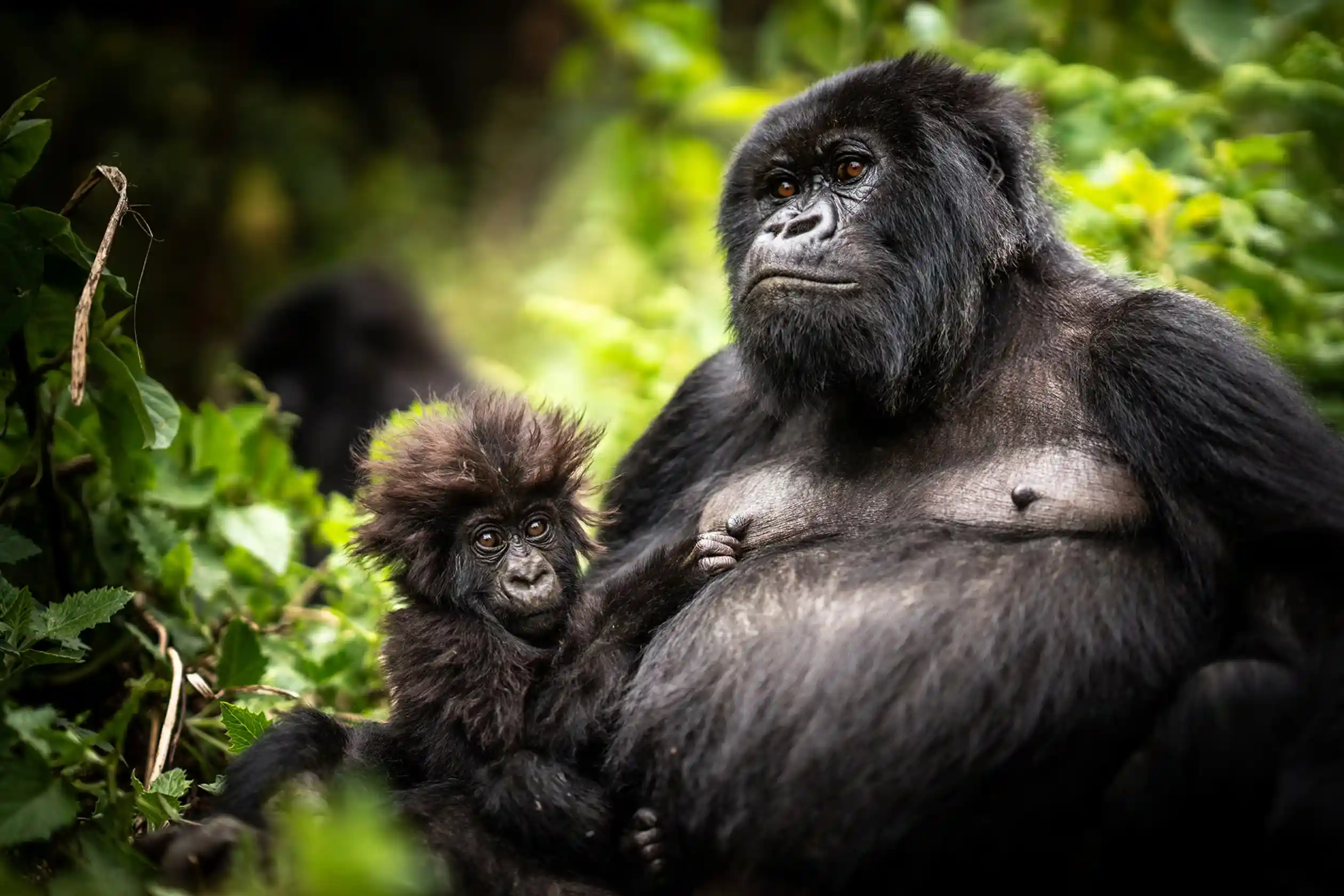 Rwanda