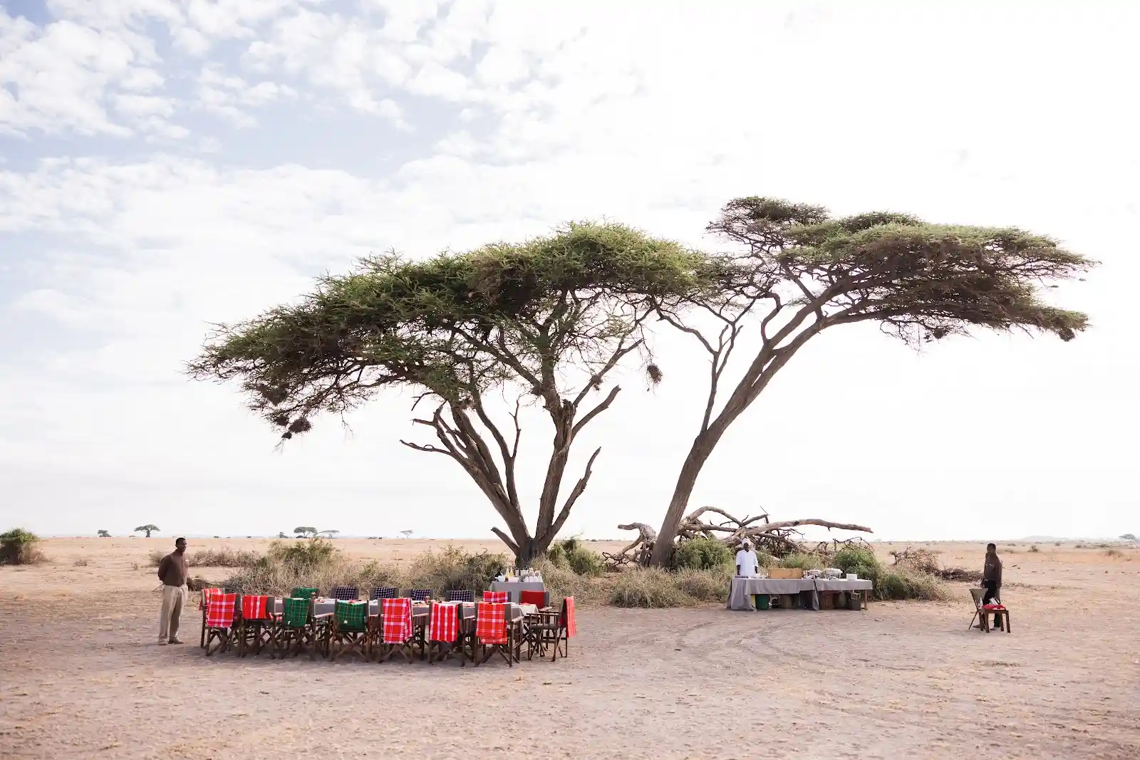 Bush breakfast in Amboseli National Park