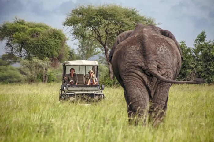 5-Day Kenya Big Five Safari
