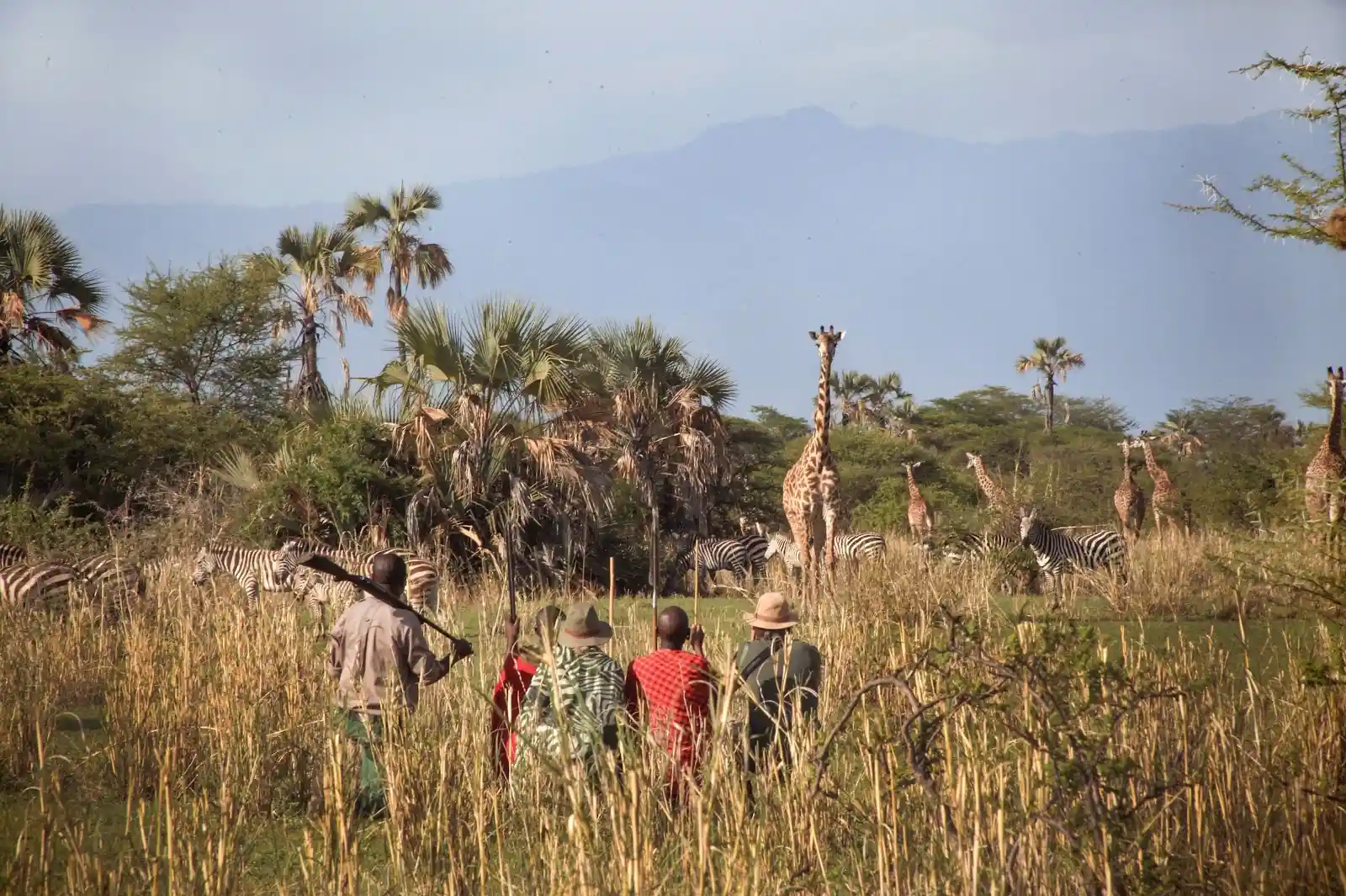 CHEM CHEM LODGE - walking safari encounters.webp