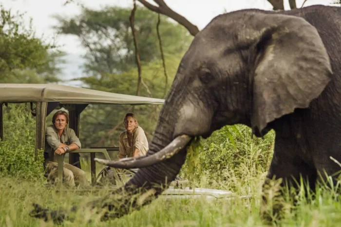 Tarangire National Park