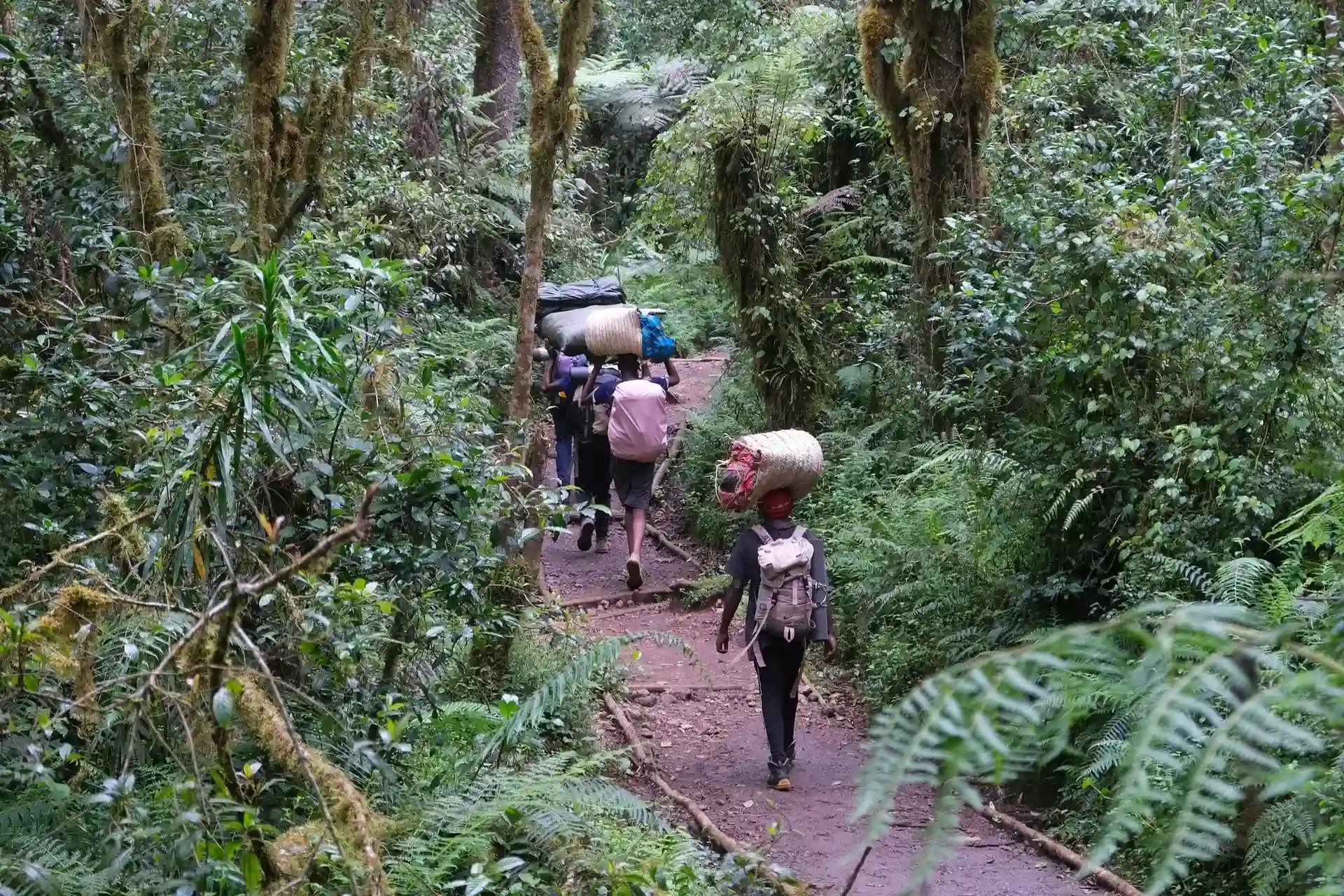 Climbing Kilimanjaro 2