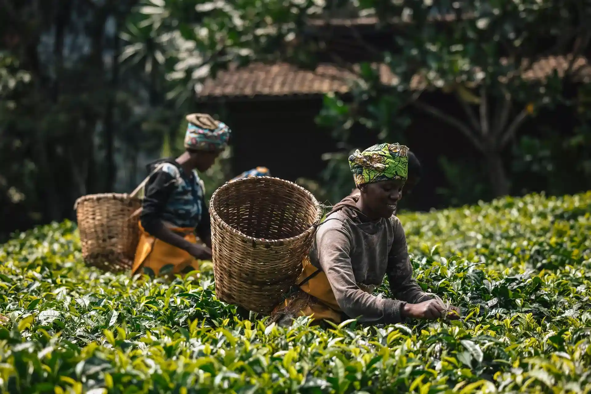 Best places to visit in Rwanda
