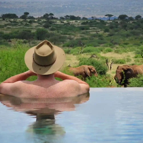 Our safari dictionary helps you understand the words and phrases you will hear on an East Africa safari, from game drives and sundowners to lodges, permits, and wildlife experiences.
