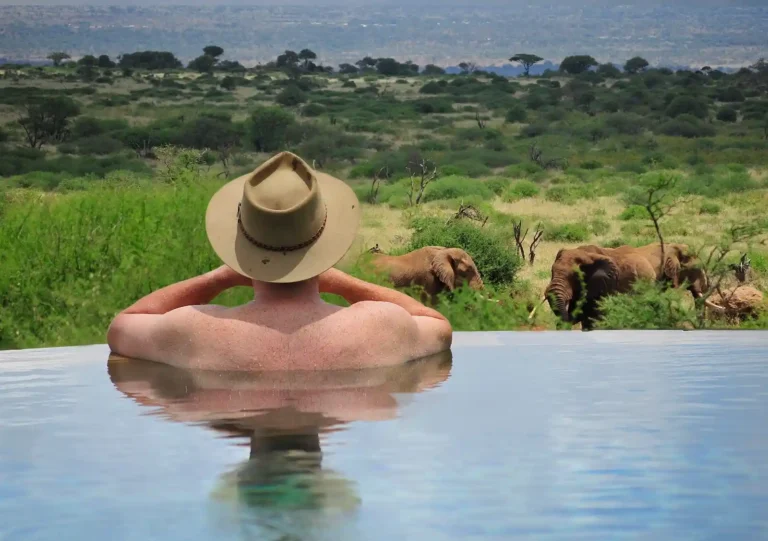 Our safari dictionary helps you understand the words and phrases you will hear on an East Africa safari, from game drives and sundowners to lodges, permits, and wildlife experiences.