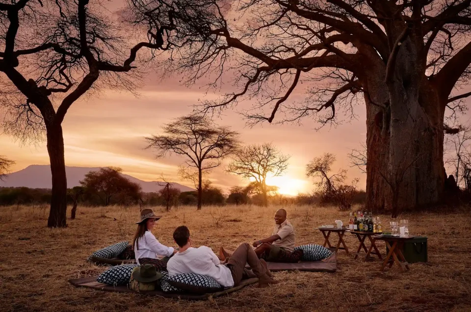 Facilities in Tarangire National Park 2