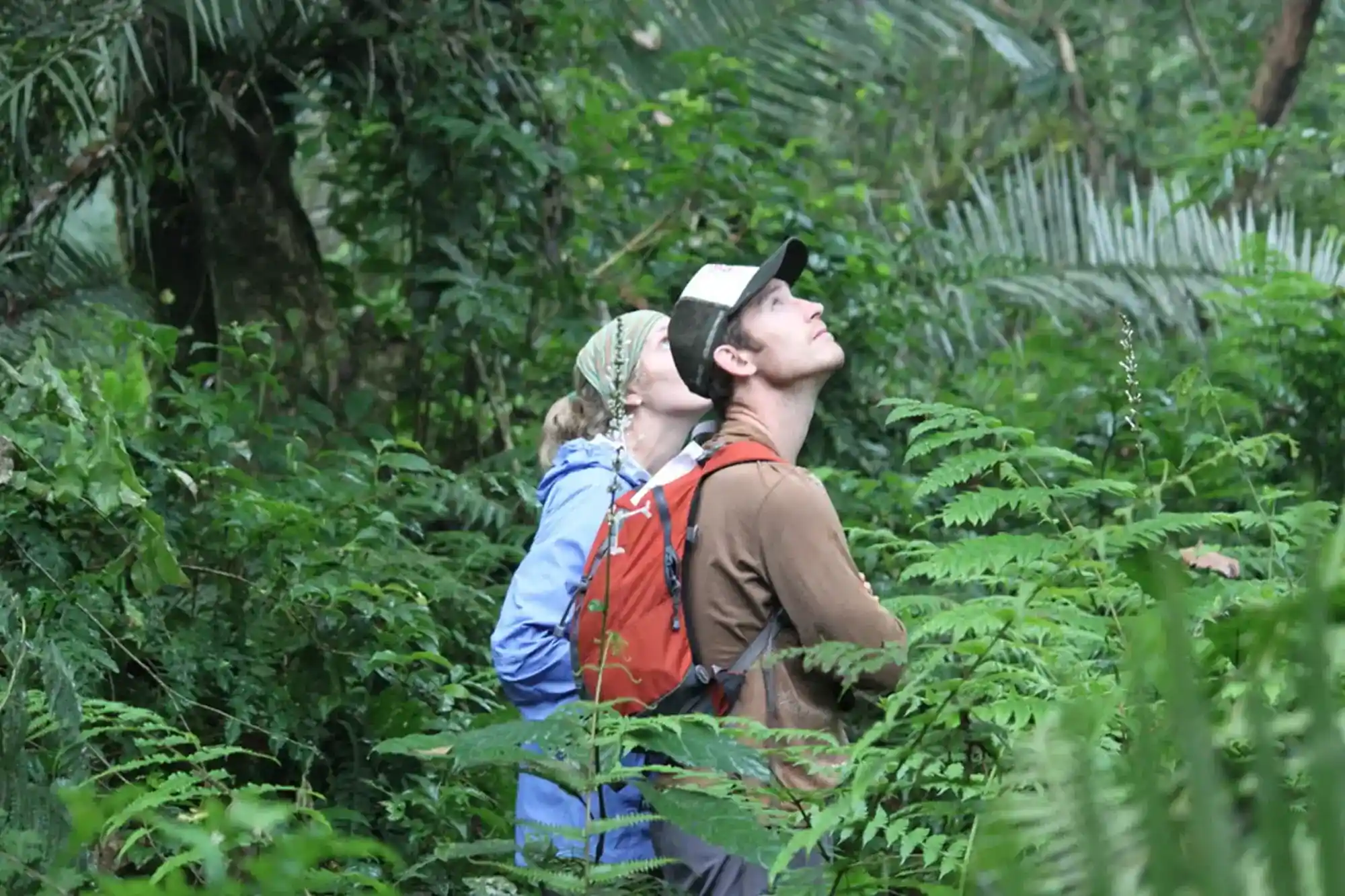 Kibale Forest