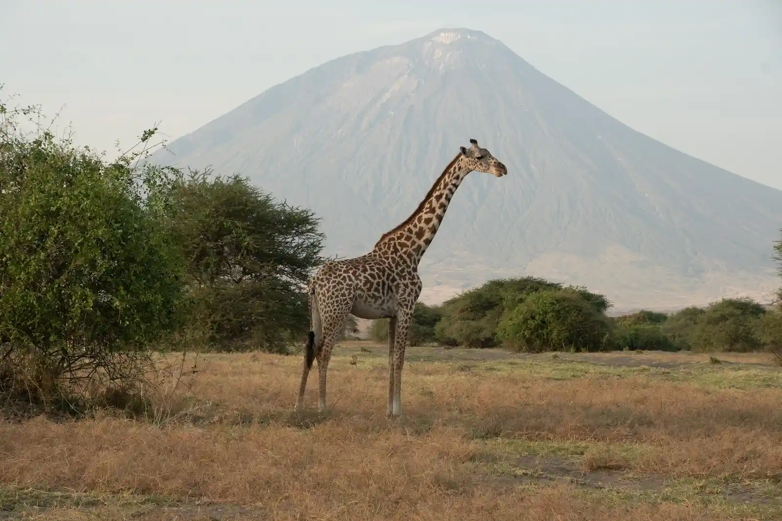 Lake Natron 2.webp