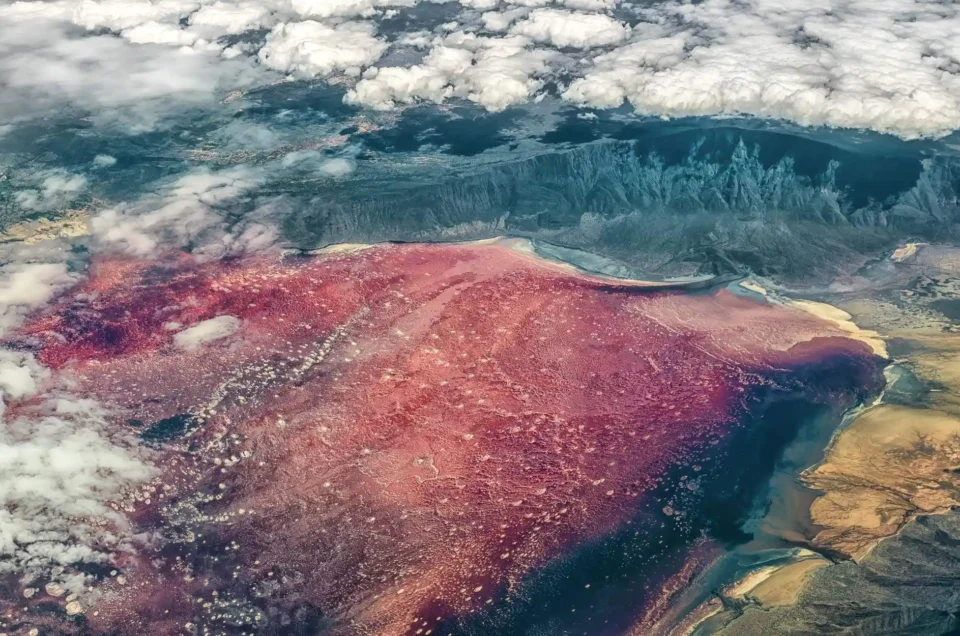 Lake_Natron_014