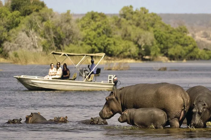 Boat Safari