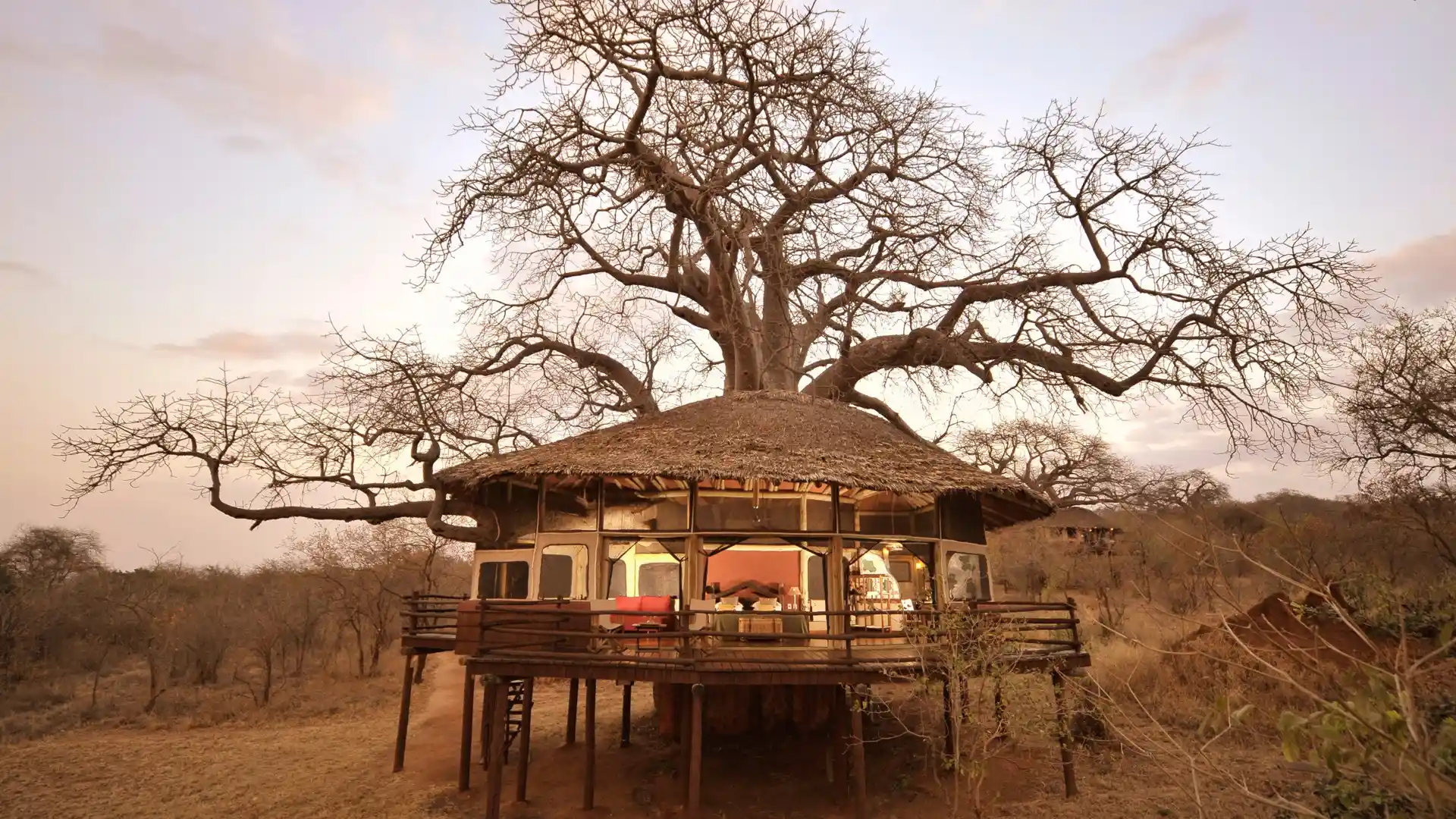 Tree-House-Lit-Inside-at-Tarangire-Tops