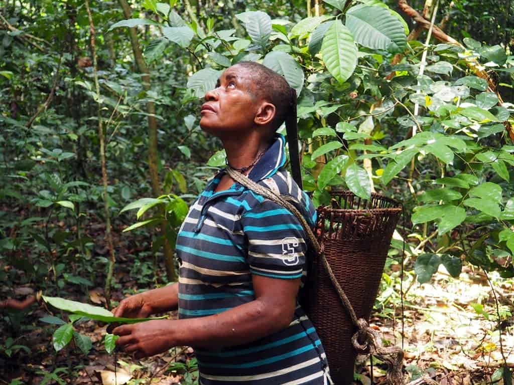 Batwa