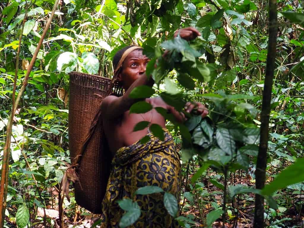 Batwa
