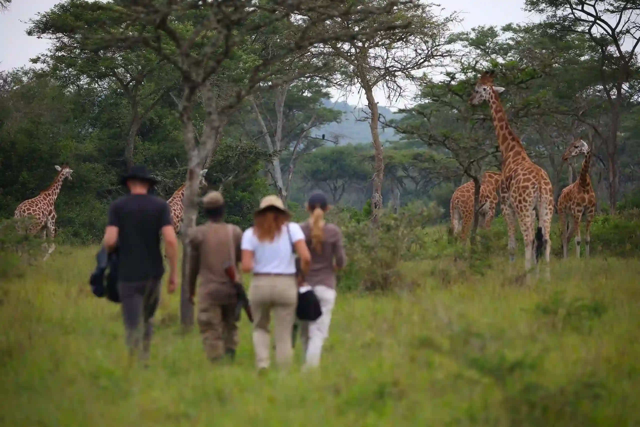 Walking-safari-in-Lake-Mburo-National-Park-1