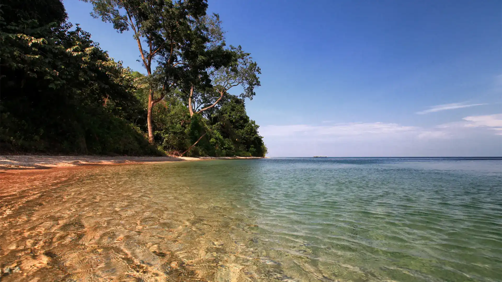 Gombe National Park in Tanzania