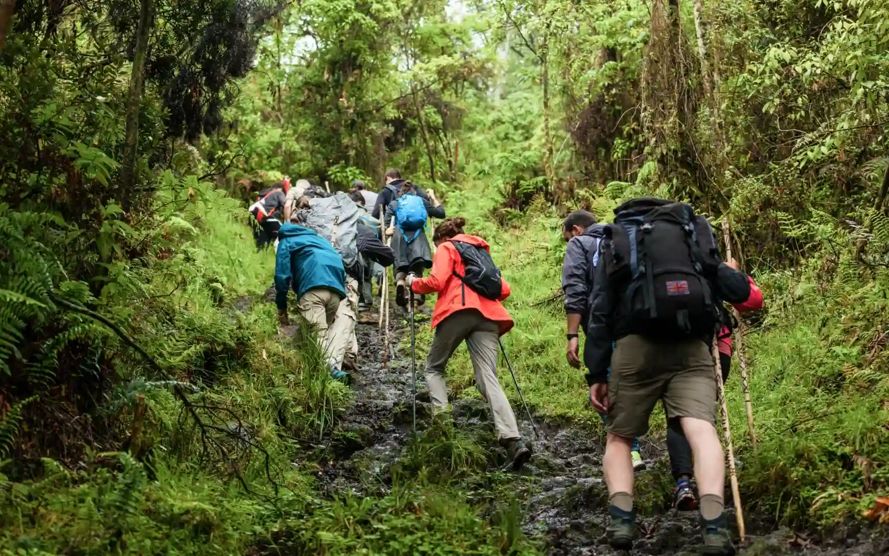 I-Trekked-To-See-Mountain-Gorillas-in-Rwanda