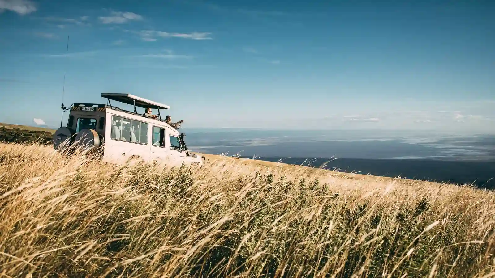 Tortilis_Ngorongoro_0047-1.webp