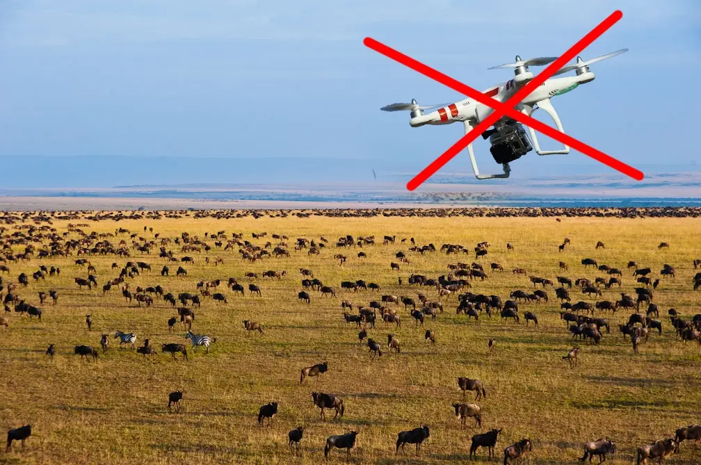 Drone on safari in Africa.webp