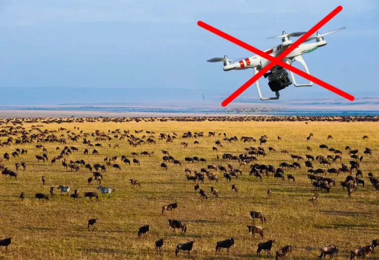 Drones on a safari in Africa