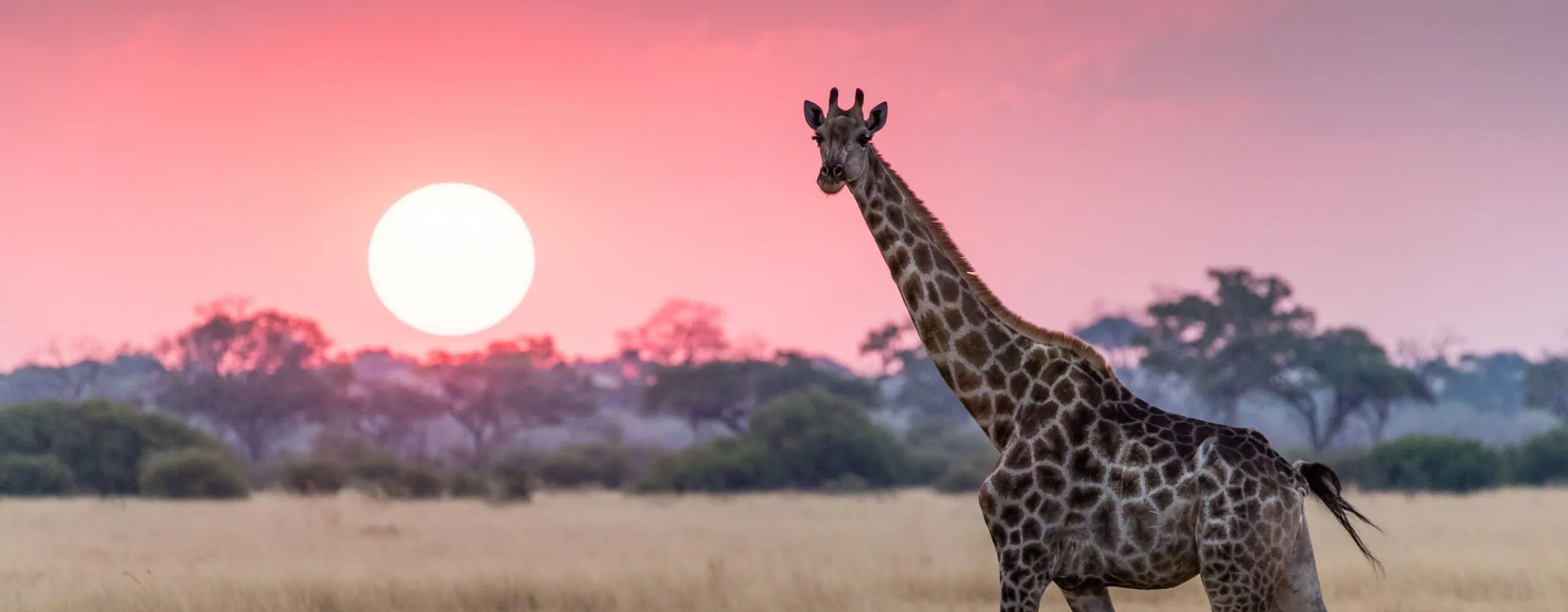 Kenya