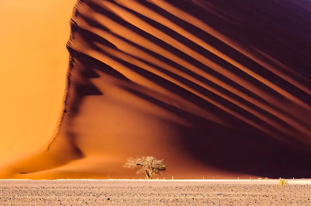 Namibi Desert