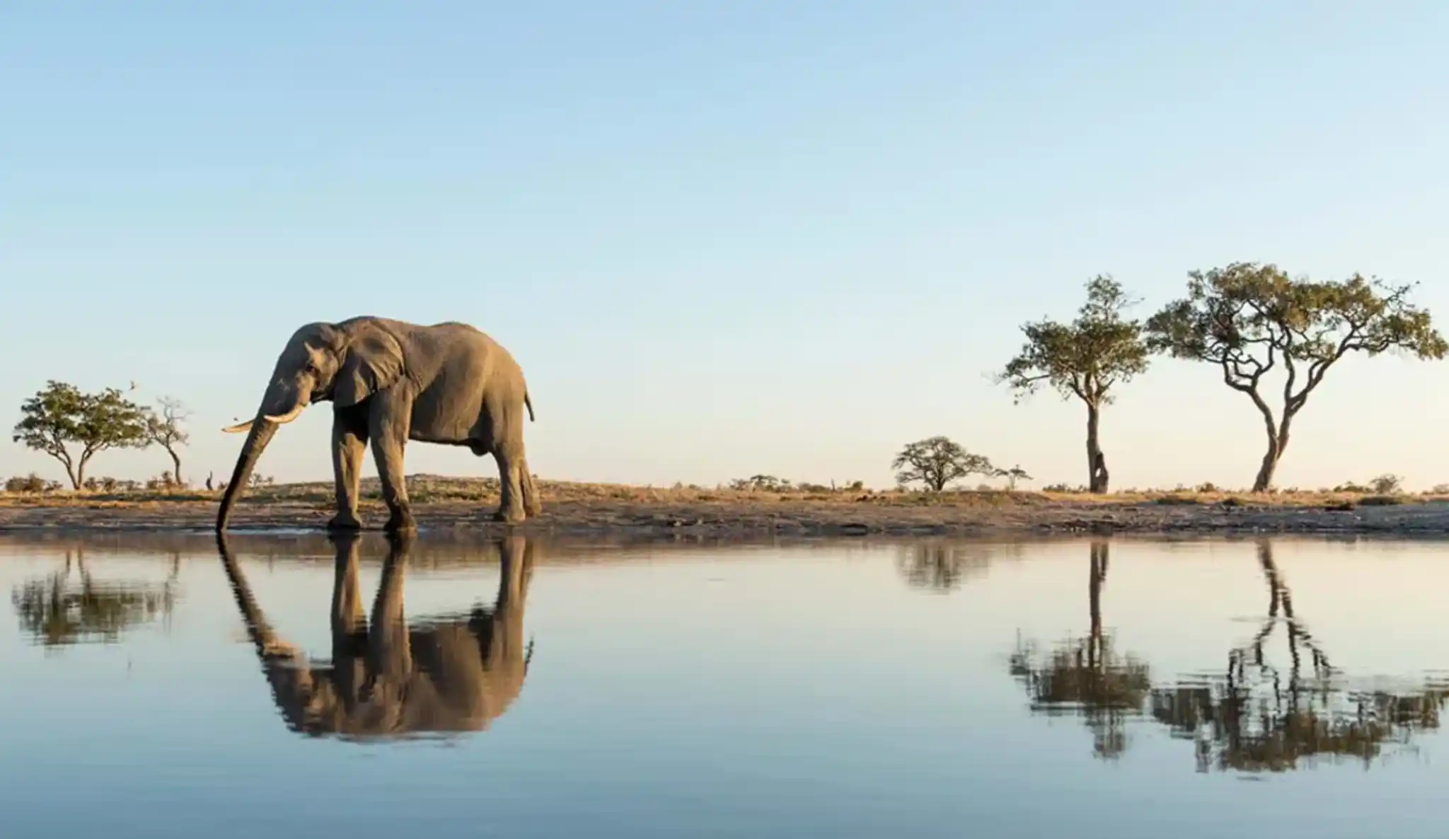 Okavango Delta.webp